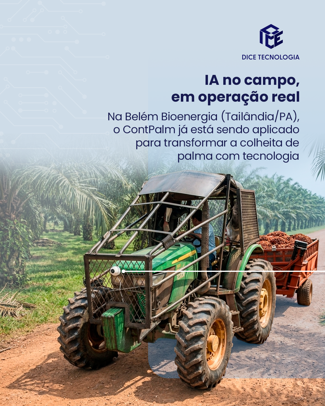 ContPalm em operação no campo